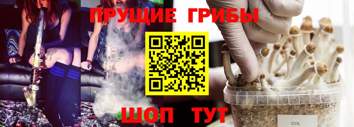 Галлюциногенные грибы мухоморы  Псилоцибиновые грибы MAGIC MUSHROOMS  Тихвин  Вход с VPN 