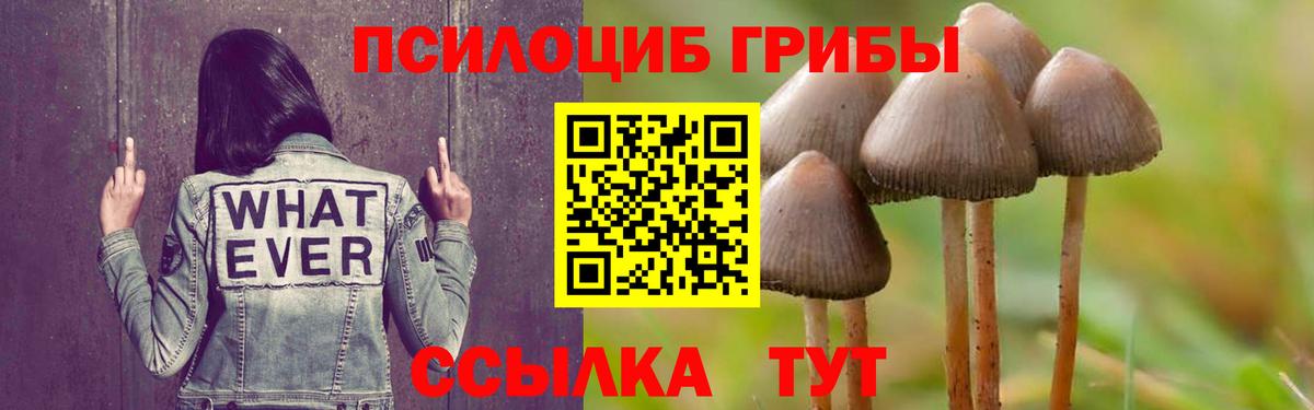 Псилоцибиновые грибы MAGIC MUSHROOMS Тихвин